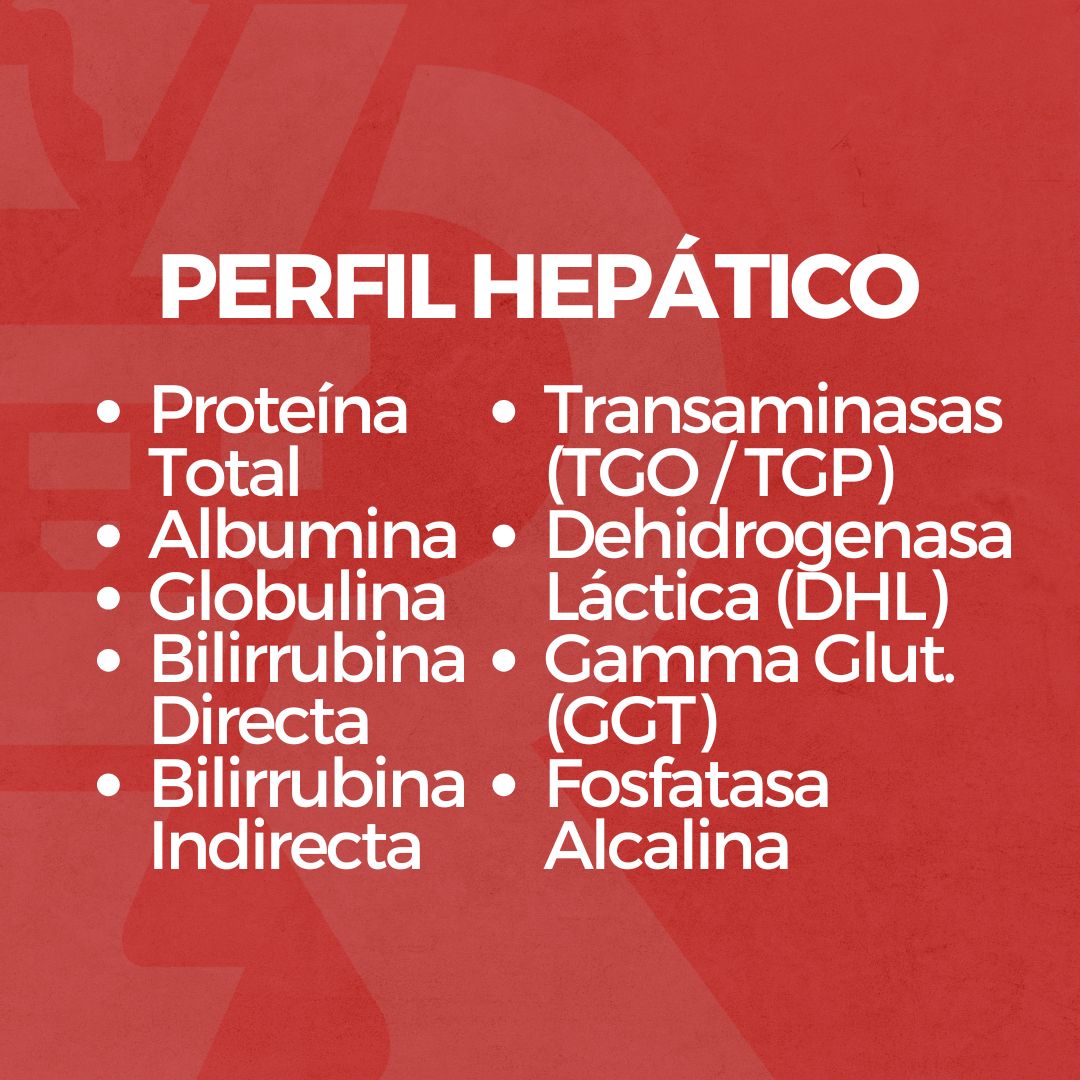 Perfil Hepático