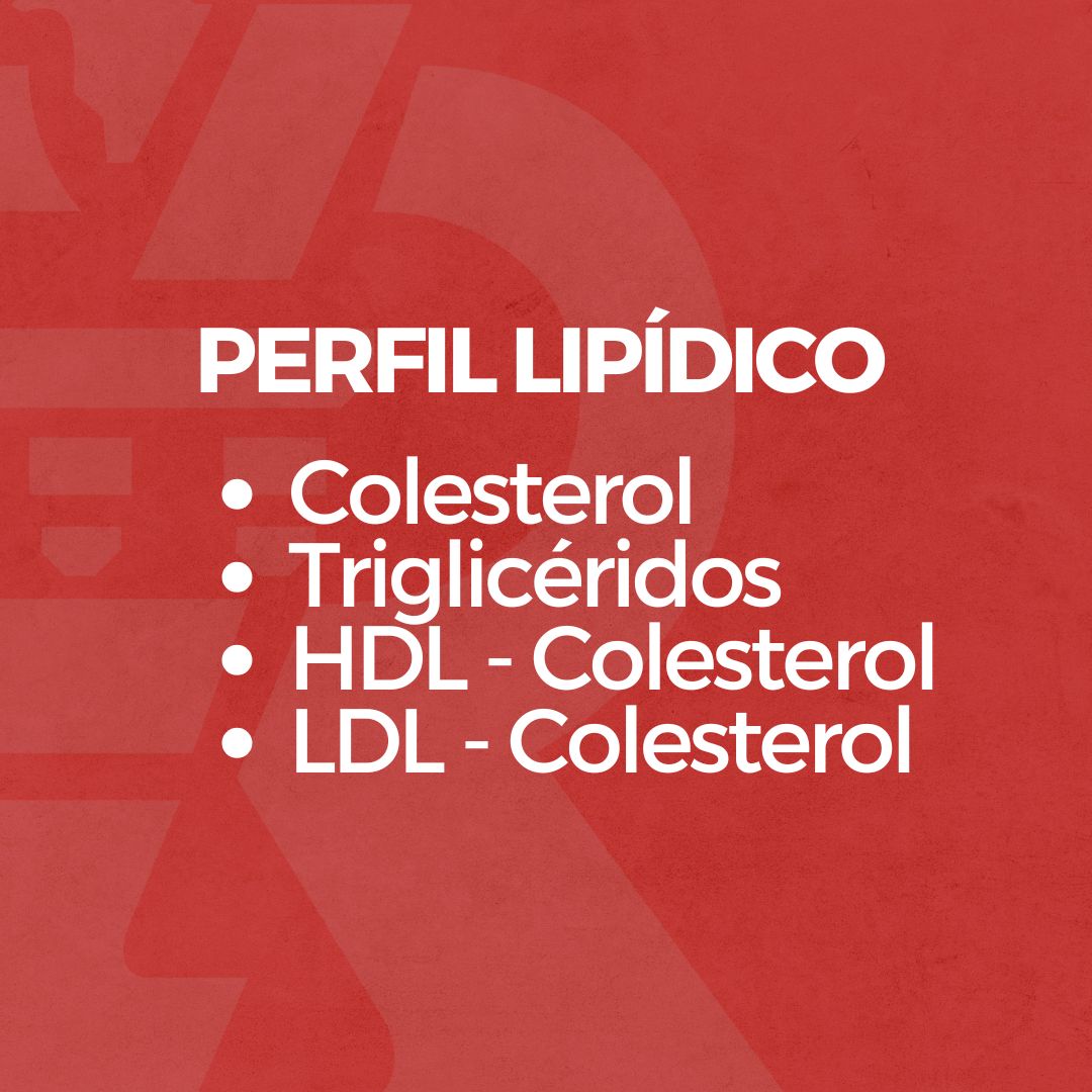 Perfil Lipídico