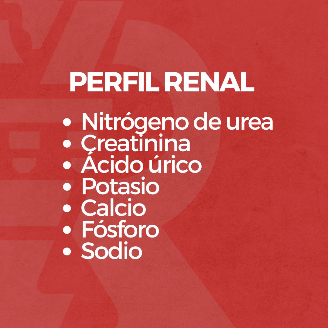 Perfil Renal